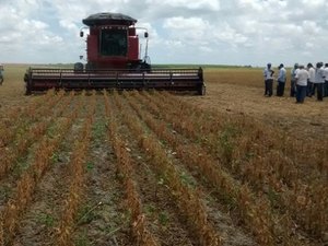 Porto Calvo tem a segunda fazenda em Alagoas a exportar soja para o mundo