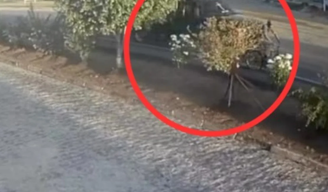 Idoso que trafegava de bicicleta é atropelado por caminhonete em Arapiraca