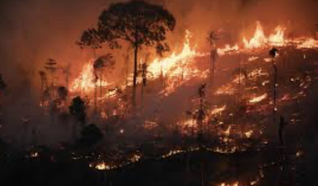 Dino manda União aumentar bombeiros contra incêndios na Amazônia e Pantanal