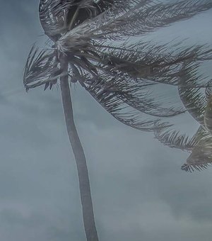 Vendaval e chuvas fortes: Alagoas entra em alerta climática até sábado (18)