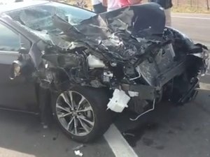 Carro colide em quatro vacas, entre Cacimbinhas e Dois Riachos