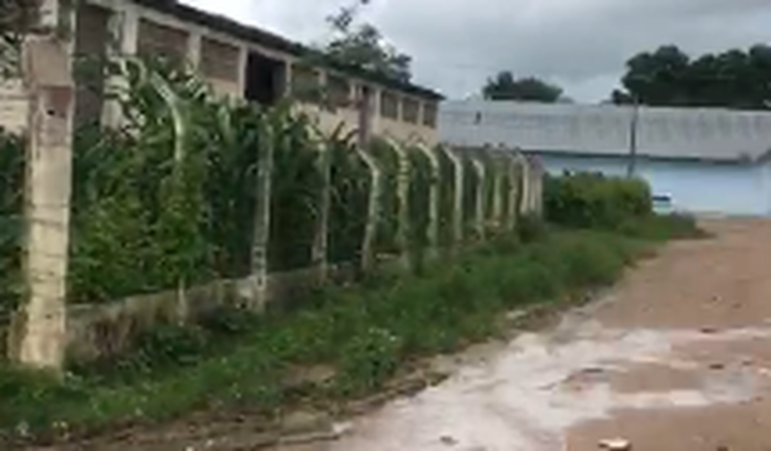 [Vídeo]Vazamentos no bairro Itapuã, em Arapiraca, registram grande desperdício de água