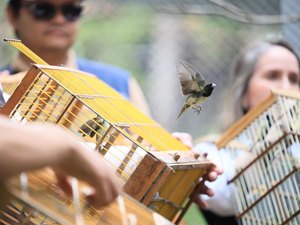 Centro de Triagem recebe animais silvestres entregues voluntariamente durante todo o ano