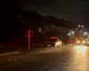 Veículo da SMTT de Maragogi colide contra cavalo na rodovia AL 101 Norte