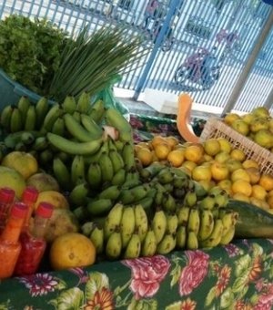 Feiras itinerantes terão que pagar impostos em Alagoas