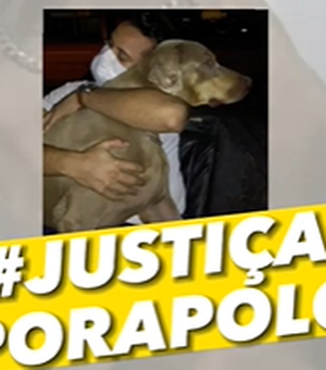 Polícia Civil vai investigar morte de cão por eutanásia sem consentimento de tutor
