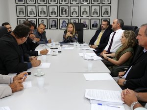 ?Comissão discute propostas para implantação do projeto-piloto do Selo Digital