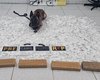 Polícia encontra R$ 500 mil em drogas dentro de van e prende suspeito no Sertão de AL