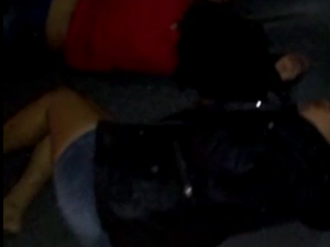 Animal na rodovia provoca acidente e deixa três pessoas feridas