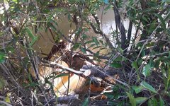 Homem é encontrado morto enganchado em árvore em rio de Porto Calvo