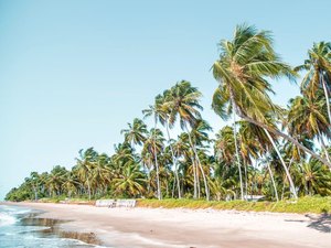 Ordenamento de Porto de Pedras começa ser debatido nesta terça-feira