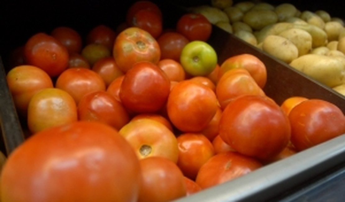 Tomate ecológico é destaque entre projetos da Embrapa Solos