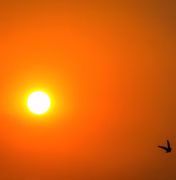 Novo veranico chega ao Nordeste com calor de até 42°C no interior