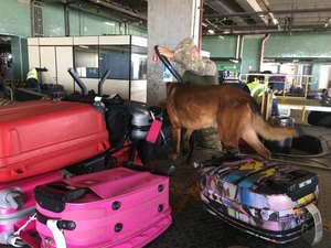 [Vídeo] Polícia Federal e BOPE realizam operação de combate ao tráfico de entorpecentes no aeroporto
