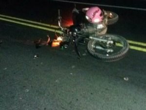 Colisão de moto e cavalo deixa homem em estado grave