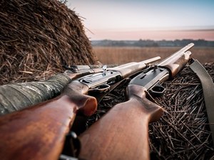 Número de armas registradas por caçadores, colecionadores e atiradores aumenta 80%