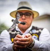 FPI do São Francisco reintegra mais 269 aves e 11 jabutis à natureza
