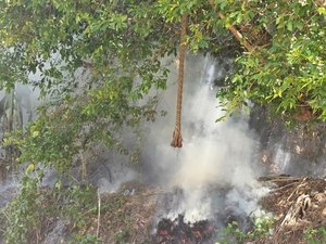 Polícia Militar registra ocorrência de incêndio em área de preservação em Fernão Velho