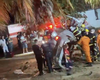 Motorista sobrevive a grave acidente após colidir com coqueiro na AL-220, em Arapiraca