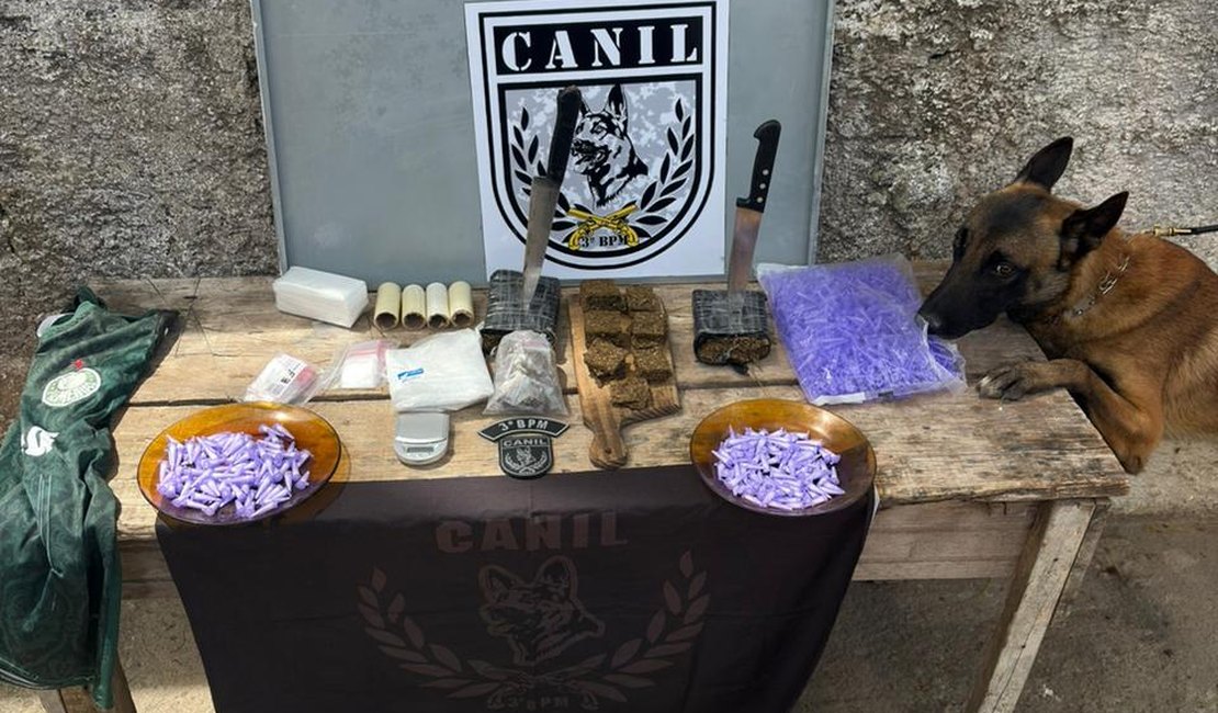 Polícia apreende maconha e cocaína em matagal de Arapiraca