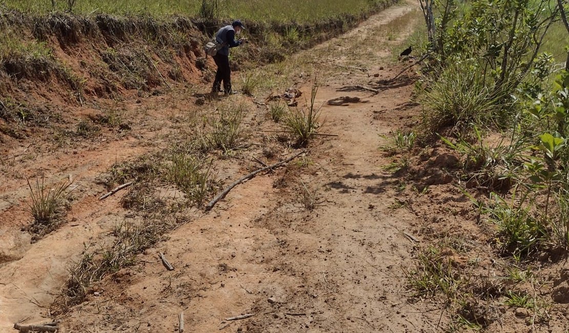 Corpo em avançado estado de decomposição é achado em Porto Calvo