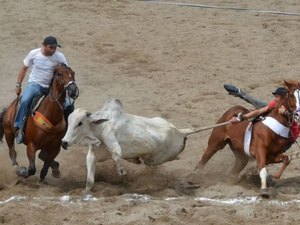 MPE ajuíza ação para suspender 14º Campeonato Brasileiro de Vaqueja, no Pilar