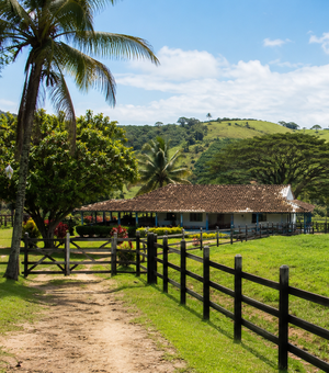 Produtores rurais de Alagoas têm até setembro para declarar o ITR 2026