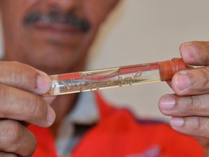 Chegada do Verão acende sinal de alerta para prevenção contra a dengue em AL