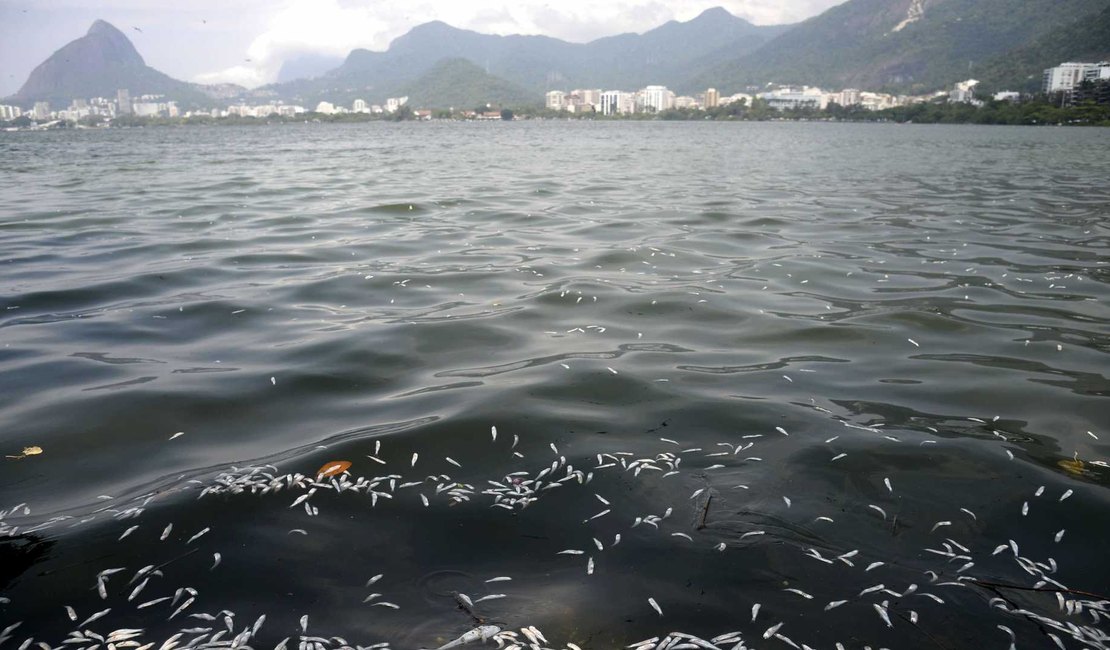 Mais de 55 toneladas de peixes mortos são recolhidas de lagoa