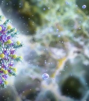 Ministério da Saúde diz que vírus Nipah não ameaça o Brasil