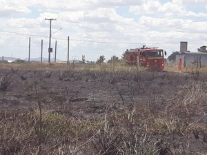 Bombeiros controlam incêndio em vegetação na AL-220 em Arapiraca