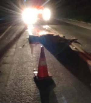 Cavalo invade pista e provoca acidente de trânsito em Campestre