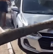 [Vídeo] Coqueiro despenca em carro estacionado na praia de Ponta Verde em Maceió
