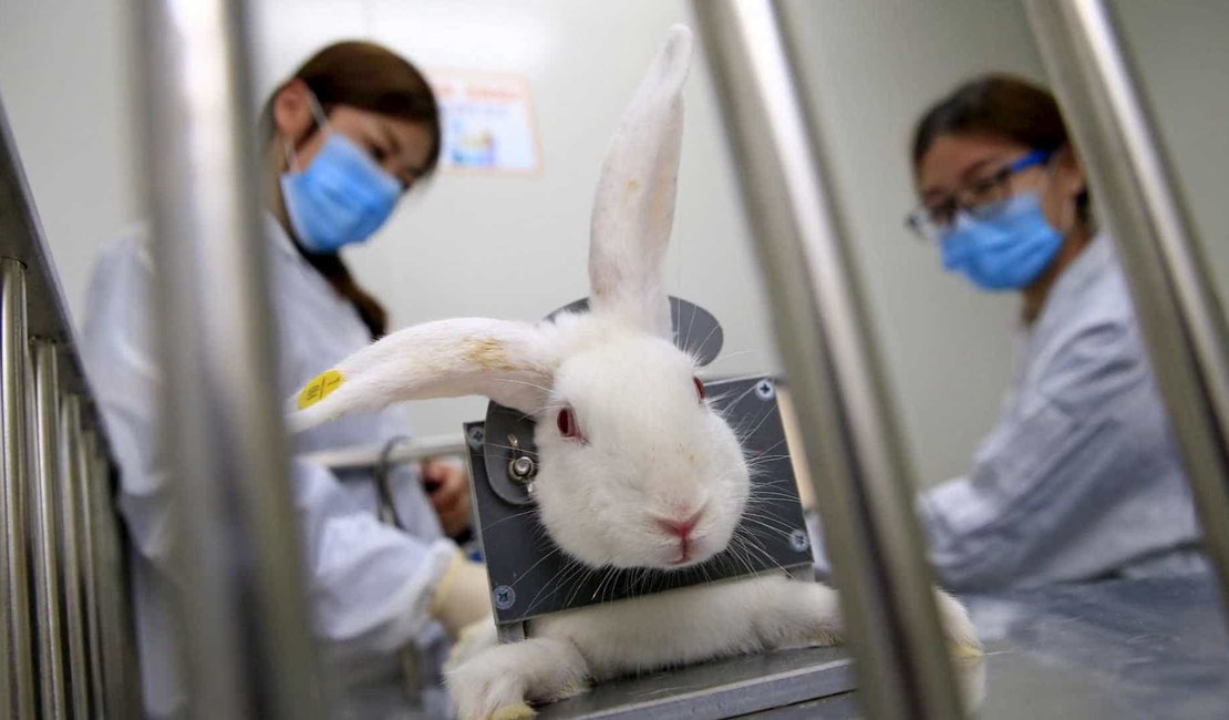 Avon anuncia fim dos testes em animais em empresas da marca no mundo