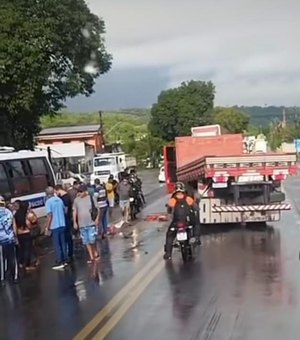 Batida entre caminhão e micro-ônibus deixa estragos e trânsito na BR-316, em Satuba