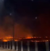 [Vídeo] Incêndio criminoso devasta vegetação entre Lagoa da Canoa e Girau do Ponciano