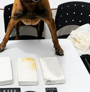 Homem é preso com mais de três quilos de cocaína na Baixa da Onça, em Arapiraca