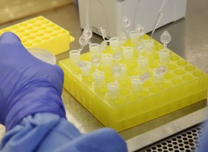Covid-19: Brasil tem 1,3 mil mortes e 23,4 mil casos confirmados