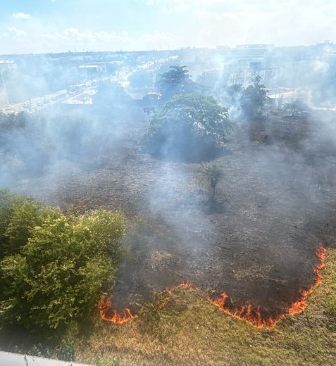 Incêndio de grandes proporções atinge vegetação na Avenida Menino Marcelo