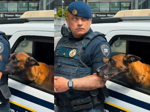 ﻿﻿Perdeu a pose: guarda não resiste a cão pedindo carinho
