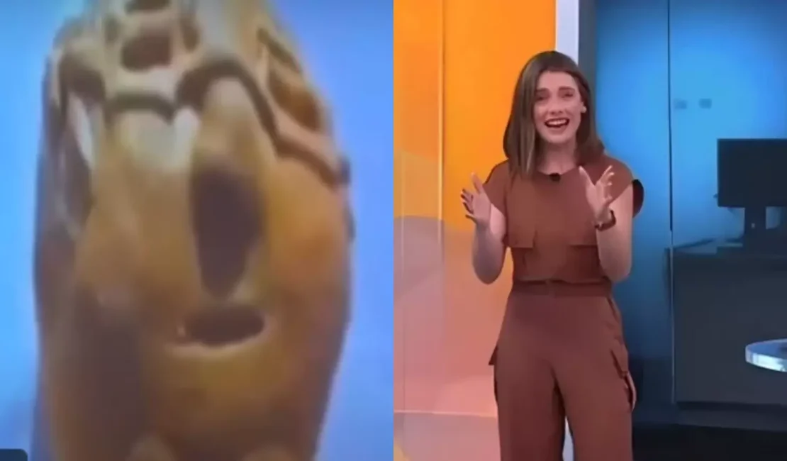 Bolo curioso do papa Leão 14 faz âncora da CNN Brasil cair na risada ao vivo