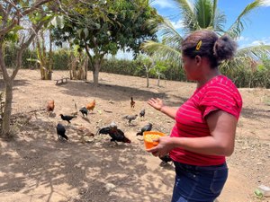 Há 13 anos, Emater atua dando assistência e desenvolvendo agricultura familiar em Alagoas