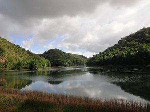 Número de reservas ambientais aumenta em Alagoas 