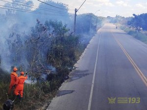 Incêndio em União dos Palmares prejudica visibilidade de motoristas