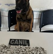 Cão farejador localiza drogas escondidas em obra no bairro Canafístula