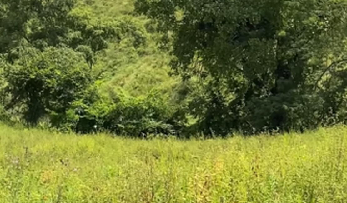 Corpo de idoso que estava desaparecido é encontrado na zona rural de Palmeira dos Índios