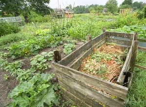 Emater-AL desenvolverá tecnologia de compostagem orgânica no Agreste