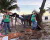 Estruturas irregulares e fogueiras são removidas na Praia da Avenida