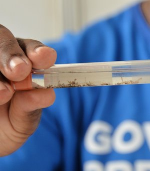 Ministério da Saúde aponta queda de 58% nos casos de dengue em Alagoas