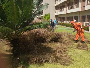 Cobra é capturada em jardim de resort em Japaratinga